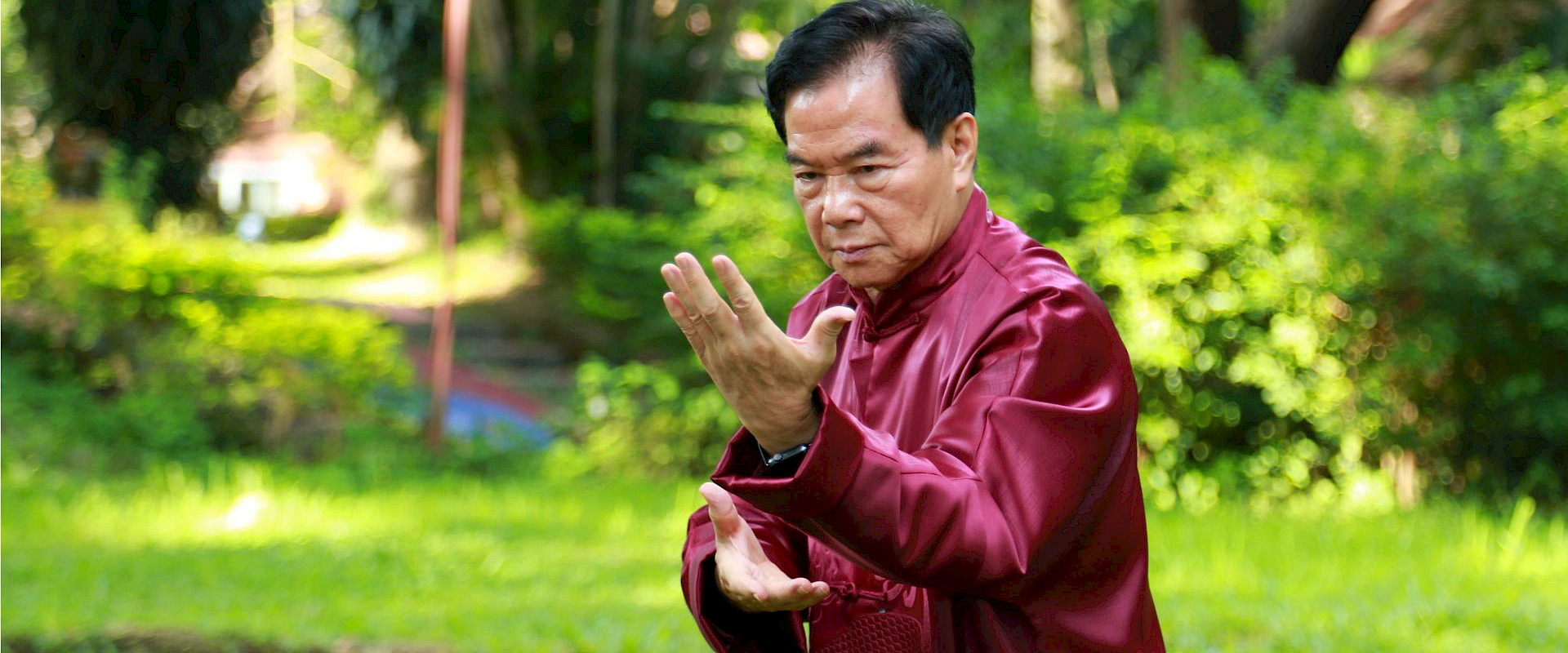 Attend a workshop with Mantak Chia