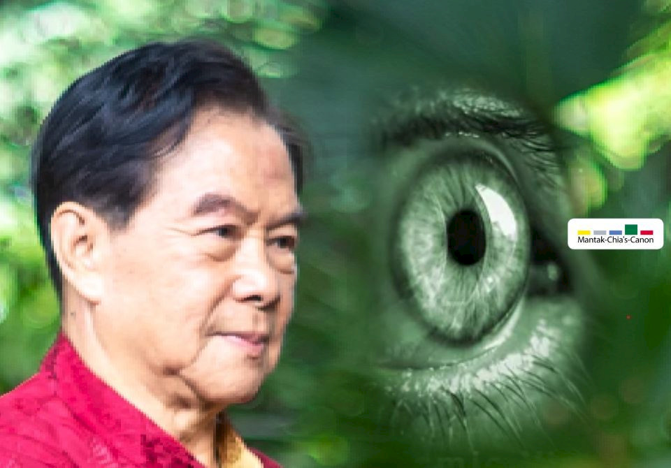 Cosmic Vision The Art of Improving Vision