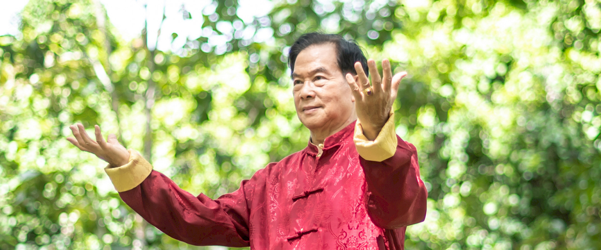 Alle Courses with Mantak Chia