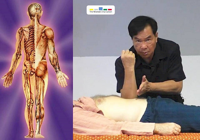 Chi Nei Tsang<sup>®</sup> I - Organ Detox