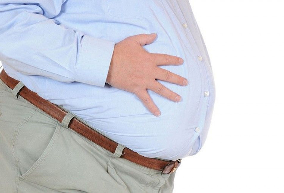 Influence of nutrition