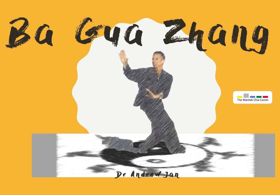 Mantak Chia's BA GUA ZHANG Tai Chi 4 Form, Dynamic Fusion in Shamanistic Tradition - Martial Artist Dr. Andrew Jan