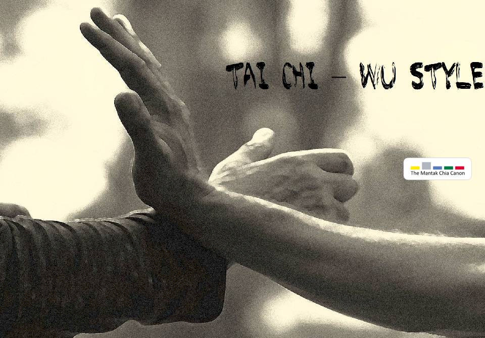 Mantak Chia's Tai Chi 3 Wu Style Form, Martial Artist Dr. Andrew Jan